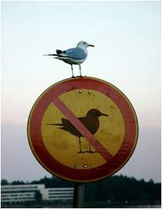 RTO Safety